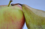 Cropped view of a pear and an apple side by side